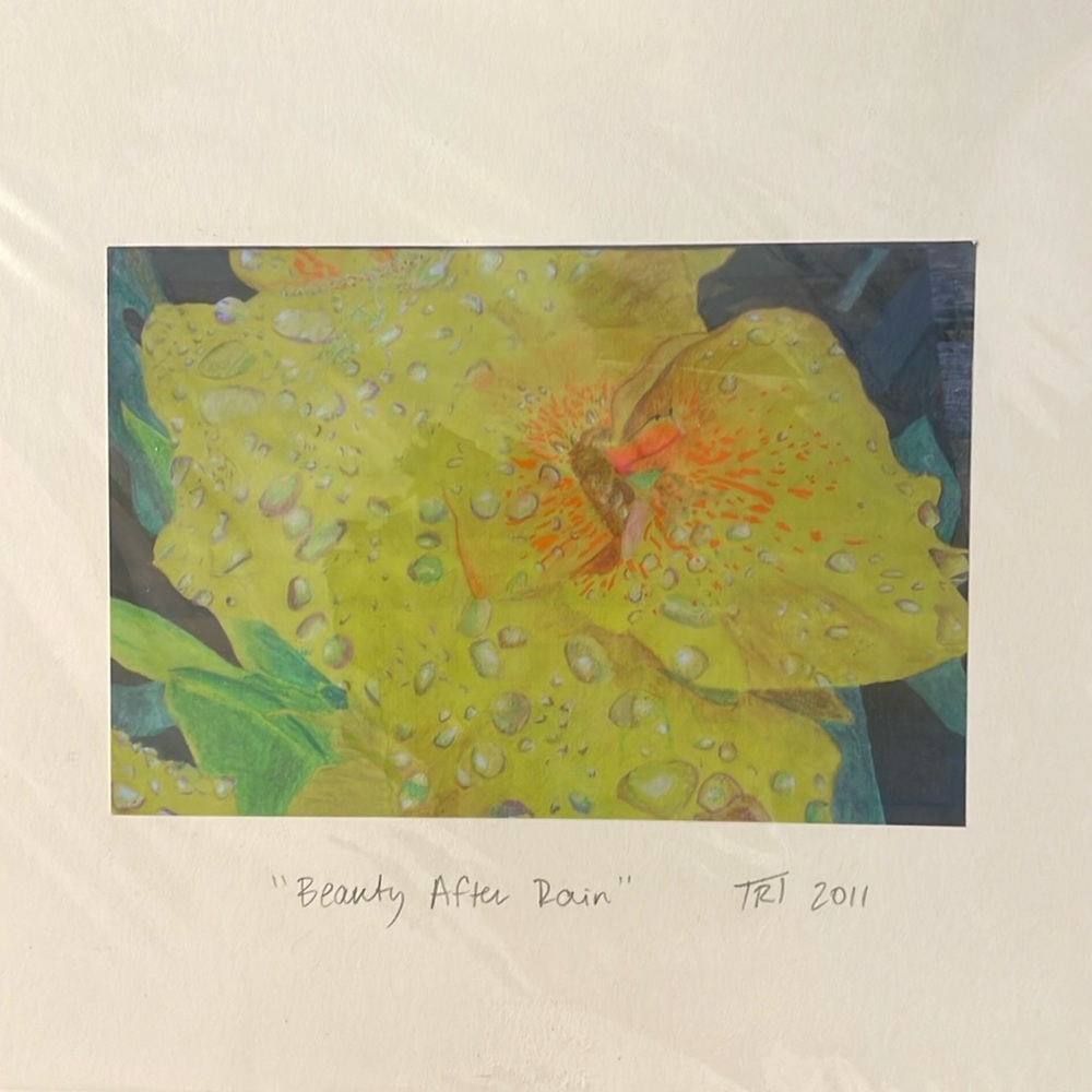 Art print “beauty after rain” original oil pastel